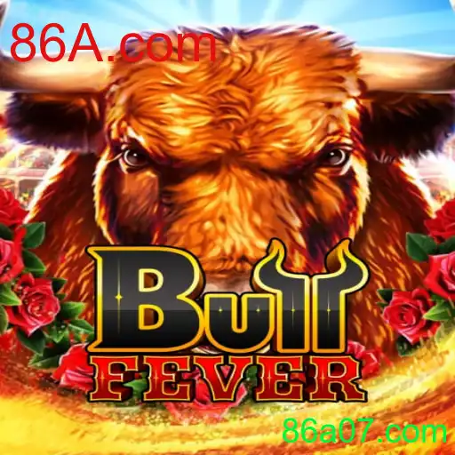 BullFever: Descubra a Emoção deste Novo Jogo